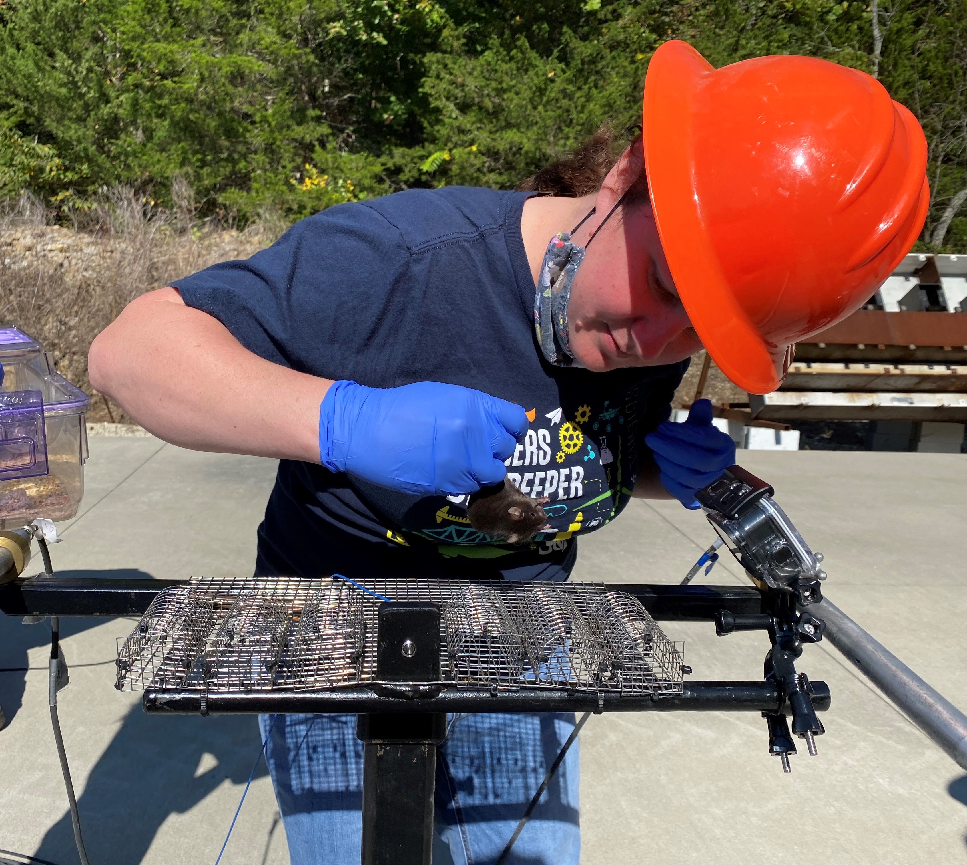 Putting mice in the blast cage at the mine for my mTBI project (OURE and Honors Thesis).